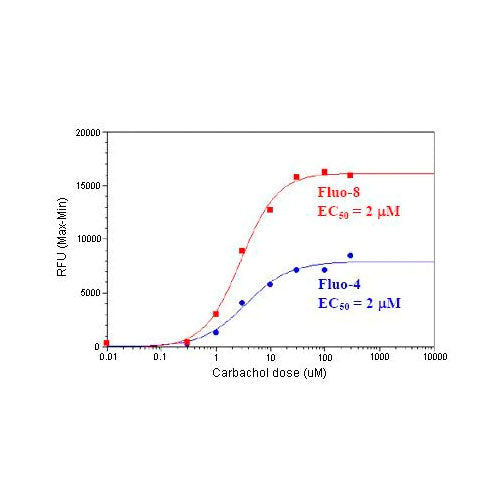 28768. FLUO-8 NO WASH CALCIUM ASSAY KIT 96 TESTS ABCAM