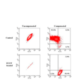 23851. JC-10 MITOCHONDRIAL MEMBRANE POTENTIAL ASSAY KIT (FLOW CYTOMETRY) 100 TESTS ABCAM