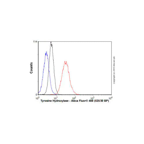 29439. ANTI-TYROSINE HYDROXYLASE ANTIBODY (TH-100) 100UG ABCAM