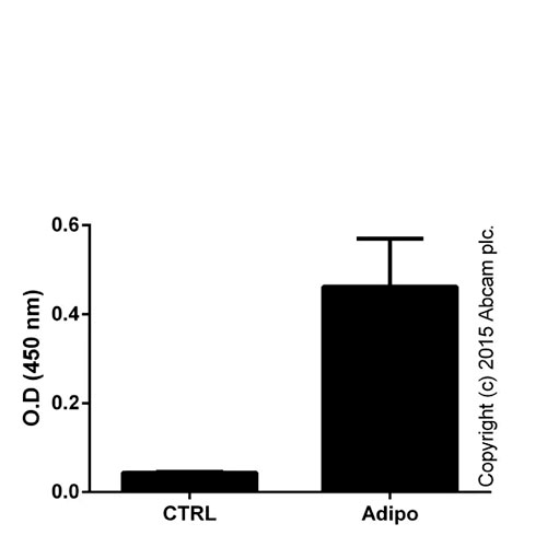 23860. PPAR GAMMA TRANSCRIPTION FACTOR ASSAY KIT 96 TESTS ABCAM