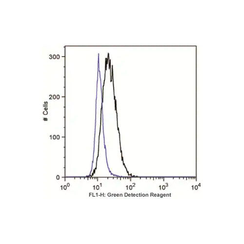 29871. AUTOPHAGY ASSAY KIT ABCAM CTR Scientific