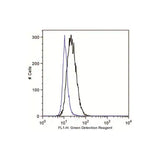 29871. AUTOPHAGY ASSAY KIT ABCAM