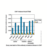 23873. RECOMBINANT ANTI-HISTONE H4 ANTIBODY (EPR16599) - CHIP GRADE 100UL ABCAM