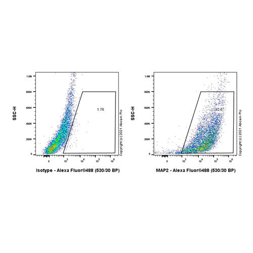 29458. RECOMBINANT ANTI-MAP2 ANTIBODY (EPR19691) 100UL ABCAM