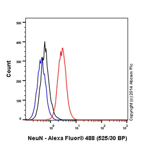 29462. RECOMBINANT ALEXA FLUOR 488 ANTI-NEUN ANTIBODY (EPR12763)-NEURONAL MARKER 100UL ABCAM