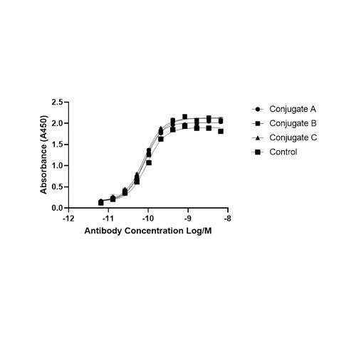 28789. BIOTINYLATION KIT/BIOTIN CONJUGATION (FAST, TYPE A)-LIGHTNING-LINK 3 X 10UG ABCAM