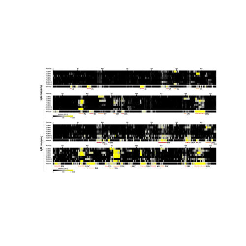 29470. DYLIGHT 680 CONJUGATION KIT (FAST) - LIGHTNING-LINK 100UG ABCAM