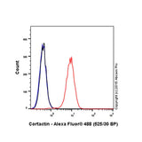 28790. RECOMBINANT ALEXA FLUOR 488 ANTI-CORTACTIN ANTIBODY (EP1922Y) 100UL ABCAM