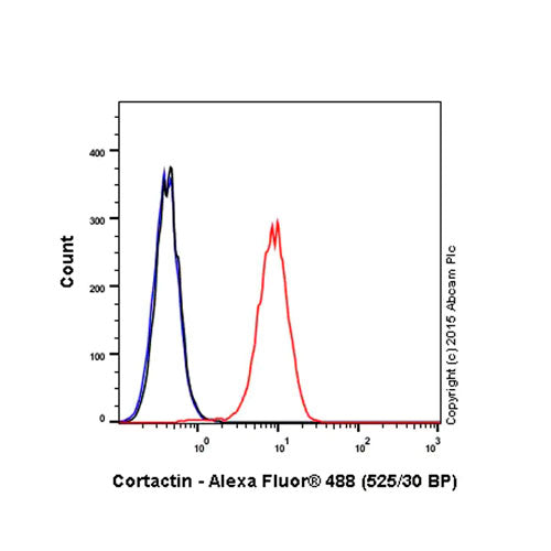 28790. RECOMBINANT ALEXA FLUOR 488 ANTI-CORTACTIN ANTIBODY (EP1922Y) 100UL ABCAM