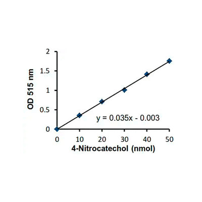 2935. SULFATASE ACTIVITY ASSAY KIT (COLORIMETRIC) 100 TESTS - ABCAM