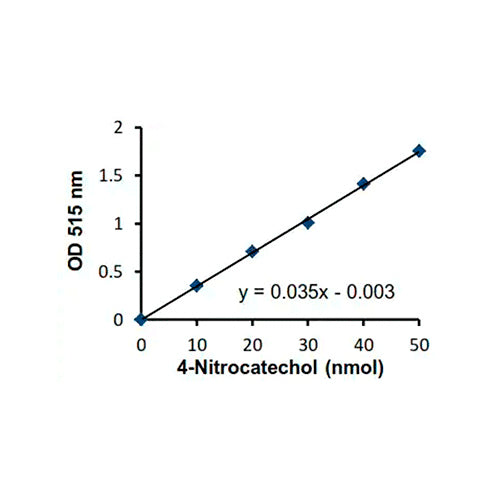 2935. SULFATASE ACTIVITY ASSAY KIT (COLORIMETRIC) 100 TESTS - ABCAM