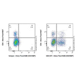 27923. RECOMBINANT ANTI-GM-CSF ANTIBODY (EPR23689-17) 100UL ABCAM