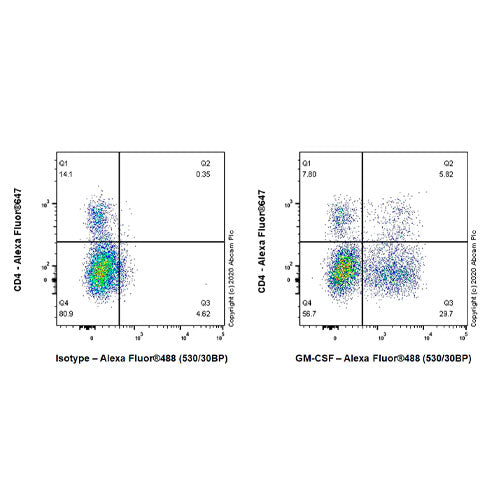 27923. RECOMBINANT ANTI-GM-CSF ANTIBODY (EPR23689-17) 100UL ABCAM