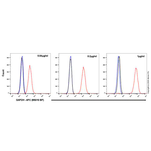 29483. RECOMBINANT APC RABBIT IGG, MONOCLONAL (EPR25A)-ISOTYPE CONTROL 100UL ABCAM