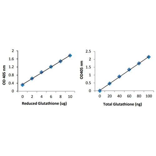 27931. GSH+GSSG / GSH ASSAY KIT (COLORIMETRIC) 100 TESTS ABCAM