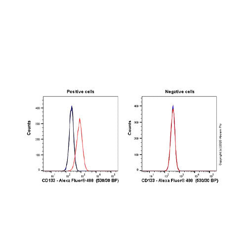 29844. RECOMBINANT ALEXA FLUOR 488 ANTI- CD133 ANTIBODY (EPR20980-104) 100UL ABCAM