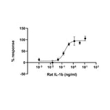 29922. RECOMBINANT RAT IL-1 BETA PROTEIN (ACTIVE) 10UG ABCAM