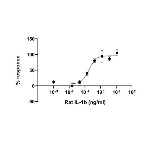 29922. RECOMBINANT RAT IL-1 BETA PROTEIN (ACTIVE) 10UG ABCAM