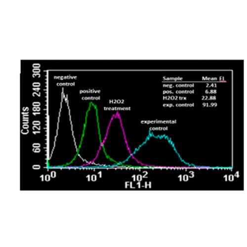 29496. REACTIVE OXYGEN SPECIES(ROS)DETECTION ASSAY KIT 250 TESTS ABCAM