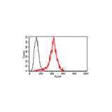 29894. PE ANTI-PERFORIN ANTIBODY (B-D48) 1ML ABCAM