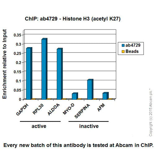 29179. ANTI-HISTONE H3 (ACETYL K27) ANTIBODY-CHIP GRADE 100UG ABCAM