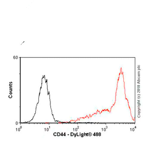 23902. ANTI-CD44 ANTIBODY (F10-44-2) 100UG ABCAM