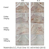 29904. RABBIT SPECIFIC HRP/DAB (ABC) DETECTION IHC KIT 15ML ABCAM