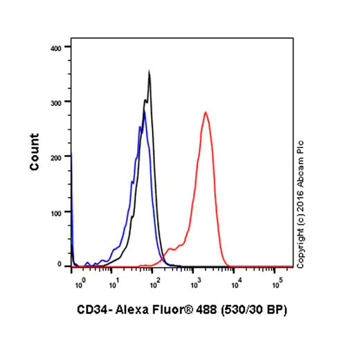 28815. RECOMBINANT ANTI-CD34 ANTIBODY (EP373Y) 100UL ABCAM