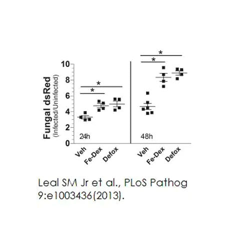 27969. IRON ASSAY KIT 100 TESTS ABCAM CTR Scientific