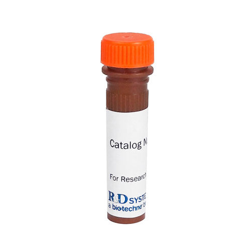 51177. HUMAN CCL20/MIP-3 ALPHA ANTIBODY 100UG - R&D SYSTEMS