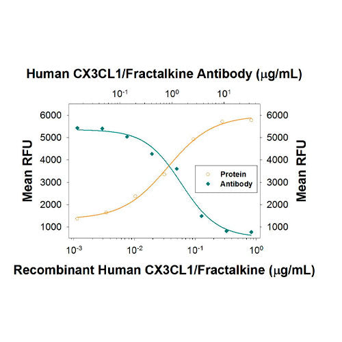 29571. HUMAN CX3CL1/FRACTALKINE CHEMOKINEÂ DOMAIN ANTIBODY 100UG R&D SYSTEMS