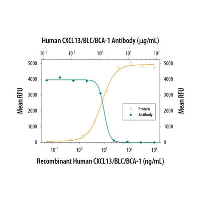 30005. HUMAN CXCL13/BLC/BCA-1 ANTIBODY 25UG R&D SYSTEMS