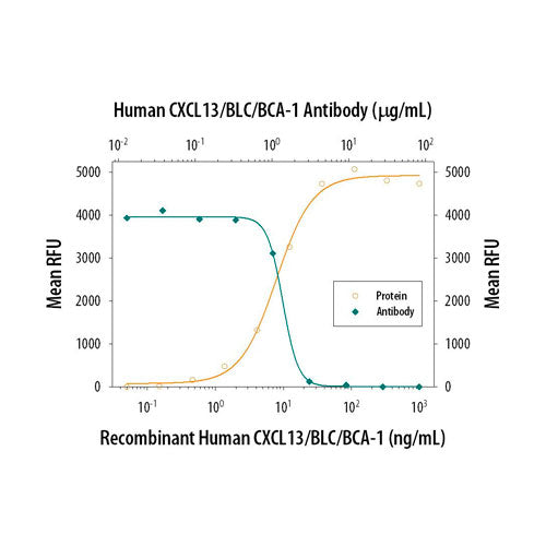 30005. HUMAN CXCL13/BLC/BCA-1 ANTIBODY 25UG R&D SYSTEMS