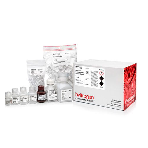 29636. KIT PARIS P/AISLAMIENTO DE ARN Y PROTEINAS NATIVAS DE LA MUESTRA EXPERIMENTAL 50 PREPARACIONES INVITROGEN