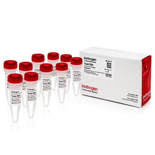29644. ARN DE LEVADURA (10MG/ML) C/10 TUBOS INVITROGEN