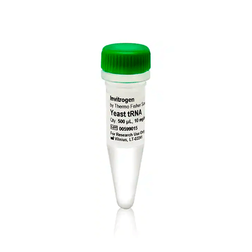 27350. YEAST TRNA (10MG/ML) 500UL INVITROGEN