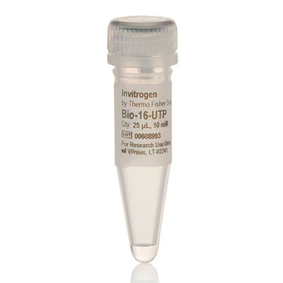 31057. BIO-16-UTP (10 MM) 25UL INVITROGEN