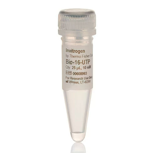 31057. BIO-16-UTP (10 MM) 25UL INVITROGEN