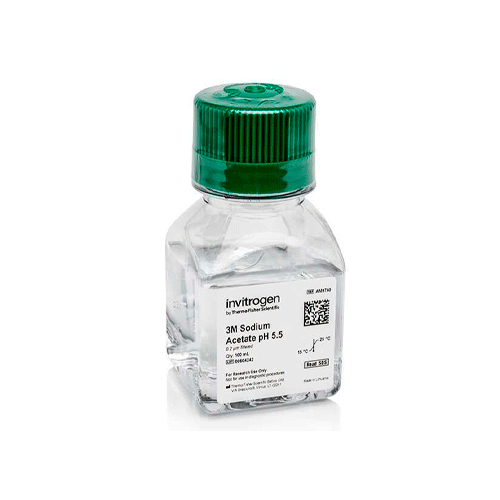 27548. ACETATO DE SODIO (3M ) PH 5.5 SIN ARNASA 100ML INVITROGEN