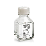 31080. EDTA (0.1MM) PH 8.0 SIN ARNASA 50ML INVITROGEN