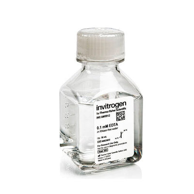 31080. EDTA (0.1MM) PH 8.0 SIN ARNASA 50ML INVITROGEN