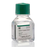 30982. AGUA TRATADA C/DEPC (DIETIL PIROCARBONATO) 100ML INVITROGEN