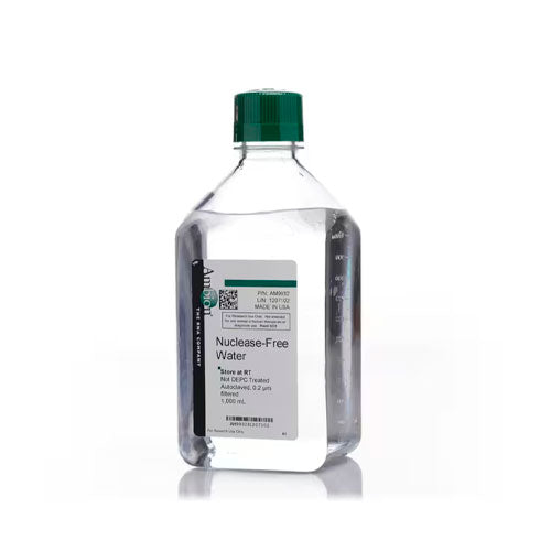 29600. AGUA SIN NUCLEASAS (NO TRATADA C/DEPC) 1000ML AMBION