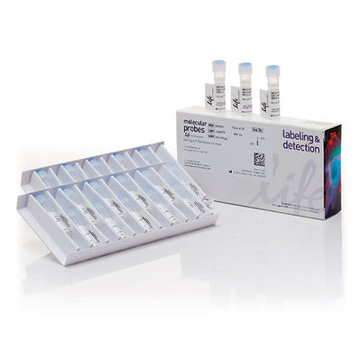 31053. BACLIGHT RED BACTERIAL STAIN 20 X 50UG INVITROGEN