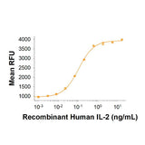 29557. RECOMBINANT HUMAN IL-2 PROTEIN CF 10UG R&D SYSTEMS