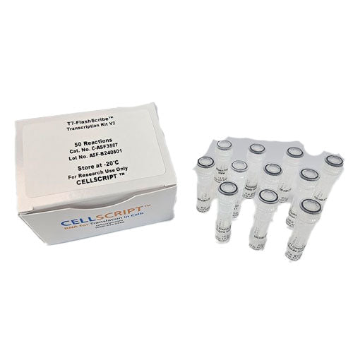 51298. T7-FLASHSCRIBE TRANSCRIPTION KIT 50 REACTIONS - CELLSCRIPT
