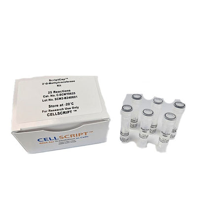 51299. SCRIPTCAP 2'-O-METHYLTRANSFERASE 25 REACTIONS - CELLSCRIPT