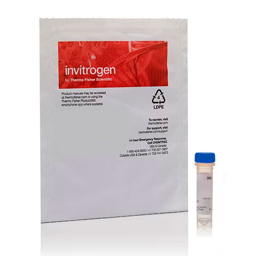 29950. TINCION P/MEMBRANA PLASMATICA COLOR ROJO OSCURO CELLMASK 100UL INVITROGEN