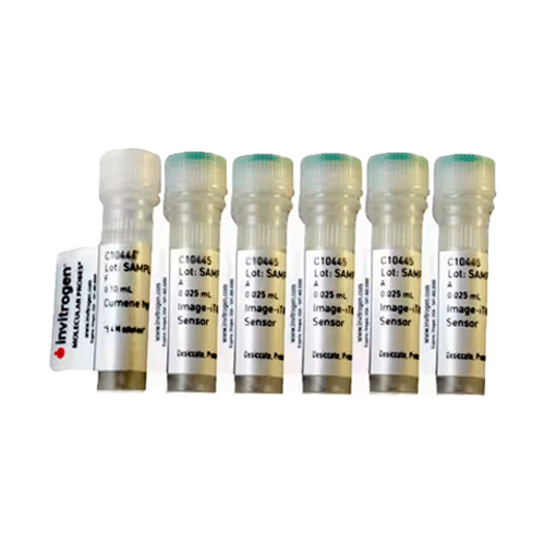 27561. KIT DE PEROXIDACION LIPIDICA IMAGE-IT P/ANALISIS DE CELULAS VIVAS INVITROGEN