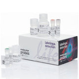 31116. KIT DE ENSAYO DE SINTESIS DE PROTEINAS CLICK-IT PLUS OPP ALEXA FLUOR 488 INVITROGEN